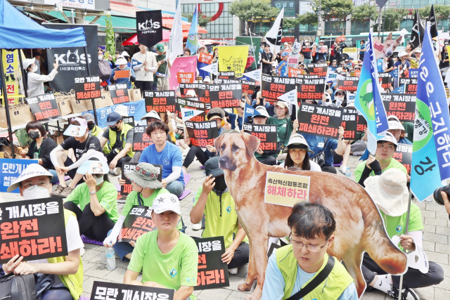 카라 등 동물보호단체와 시민 350여명이 성남 모란시장 앞에서 개시장 폐쇄를 촉구하는 집회를 진행했다