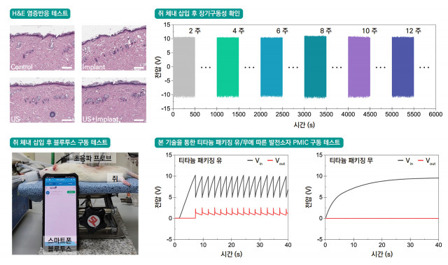 소동물 실험을 통한 생체 안정성, 장기 구동 안정성, 블루투스 성능 평가(사진= 에너지마이닝)