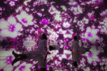 Flowers grow, bud, bloom, and in time, the petals fall, and the flowers wither and die. At teamLab P