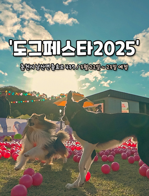 강아지숲 ‘도그페스타 2025’가 오는 22~23일 개최된다