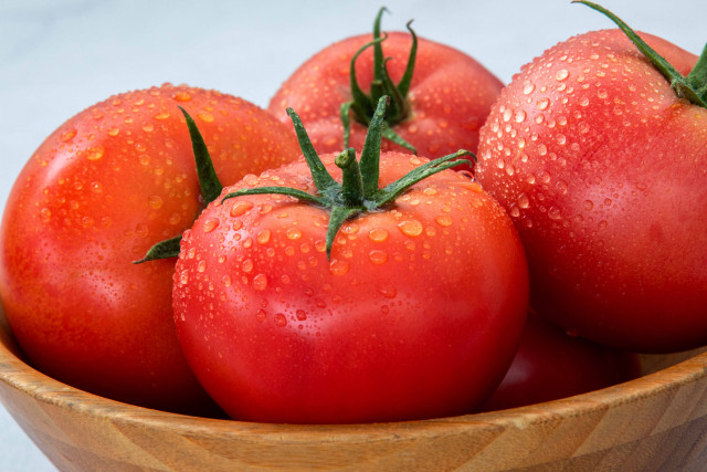 여름철 건강에 좋은 고품질 강원 토마토가 본격 출하된다