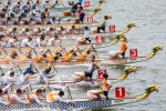 Over 170 teams and 4,000 dragon boat athletes from around the world will participate in the 2024 Hon
