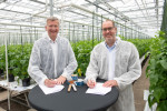 Peter Poortinga (CEO, Solynta) and Frank Terhorst (Head of Strategy &amp; Sustainability, Crop Scien