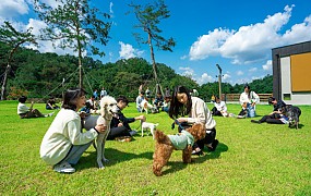 강아지숲 전경